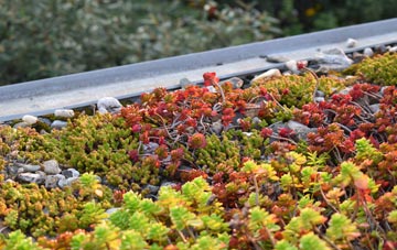 the cost of Bilbster green roof installation