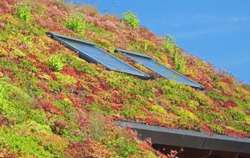Bilbster living roof systems